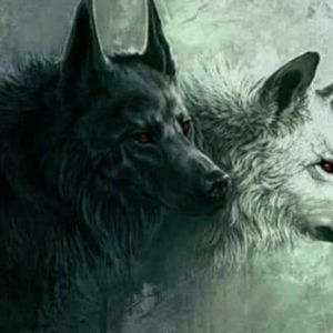 Meet your Posher, Luz